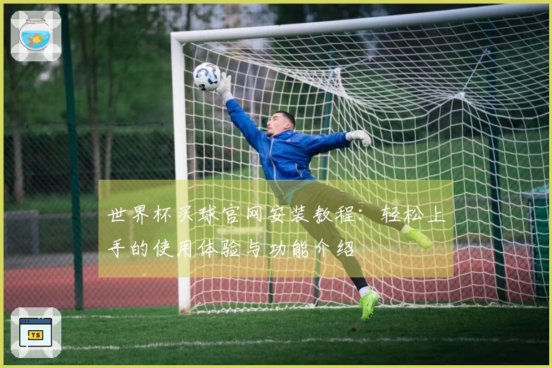 世界杯买球官网安装教程：轻松上手的使用体验与功能介绍