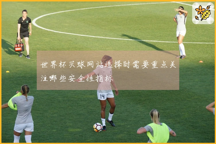 世界杯买球网站选择时需要重点关注哪些安全性指标