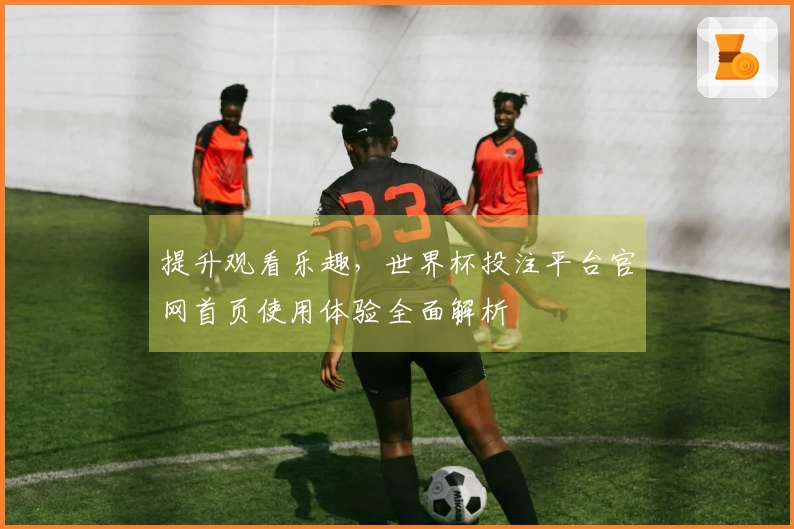 提升观看乐趣，世界杯投注平台官网首页使用体验全面解析