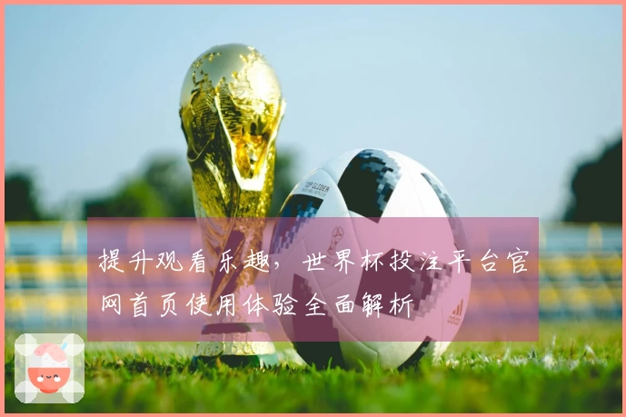 提升观看乐趣，世界杯投注平台官网首页使用体验全面解析