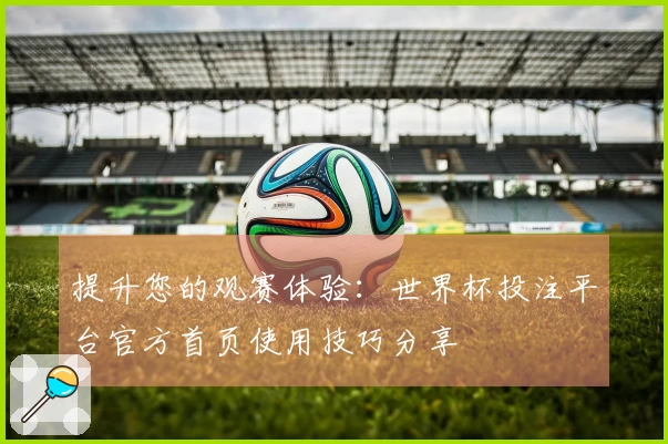 提升您的观赛体验：世界杯投注平台官方首页使用技巧分享