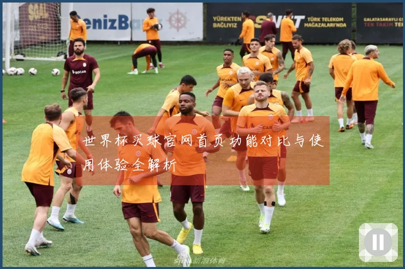 世界杯买球官网首页功能对比与使用体验全解析